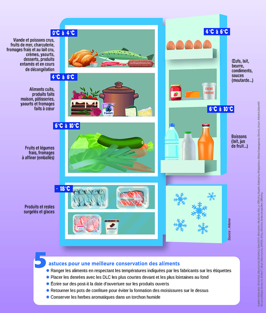 Bien ranger son réfrigérateur pour éviter le gaspillage