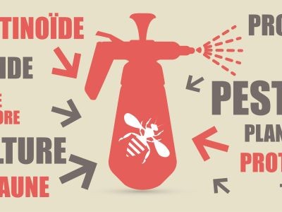 7 questions sur les pesticides