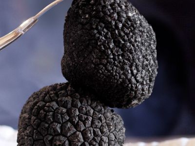 En savoir plus sur les truffes avant Noël