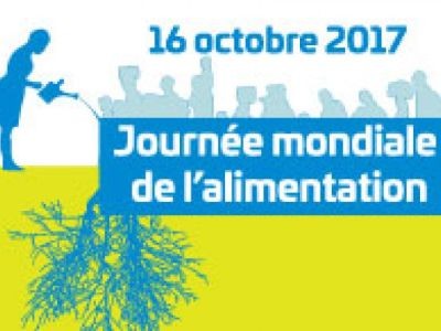 Journée mondiale de l'alimentation - Gaspillage alimentaire : des pistes pour agir