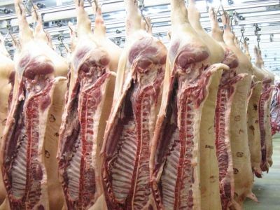 Abattoirs : non aux pratiques intolérables !