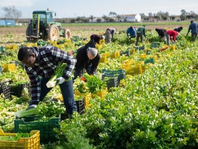 Une aide au logement pour les saisonniers agricoles