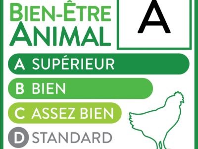 Premier label Bien-être animal sur les volailles