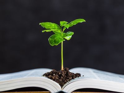 Loi Climat, des mesures insuffisantes  : la CLCV reste mobilisée durant l’examen de la loi devant le Sénat