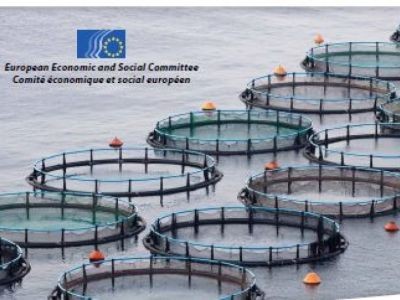 L'aquaculture en débat au Comité économique et social européen