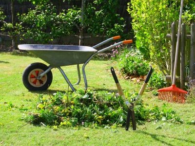 Jardin : comment valoriser mes déchets verts ?