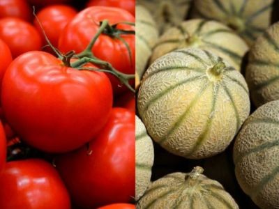 Tomates et melons : enquête qualité et prix