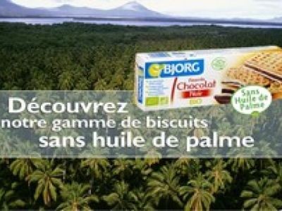 Faut-il boycotter l’huile de palme ?