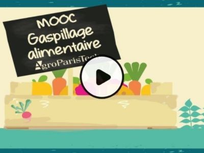 MOOC sur le gaspillage alimentaire