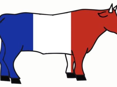 Plats préparés à base de bœuf - Origine tricolore de la viande