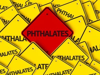 panneau phthalates