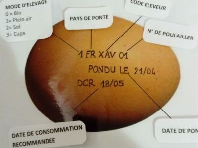 Besançon - Animation sur le thème de l'alimentation